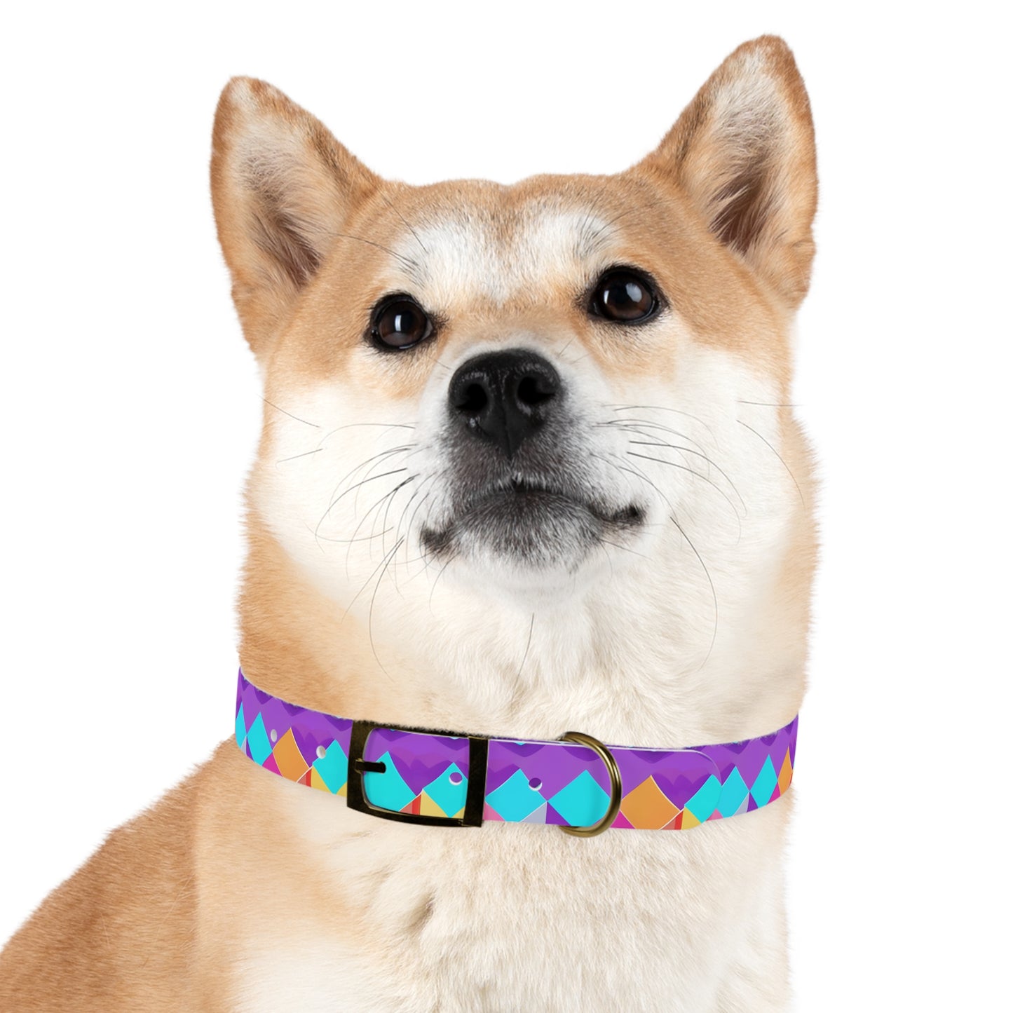 Prismatic Patterns Dog Collar