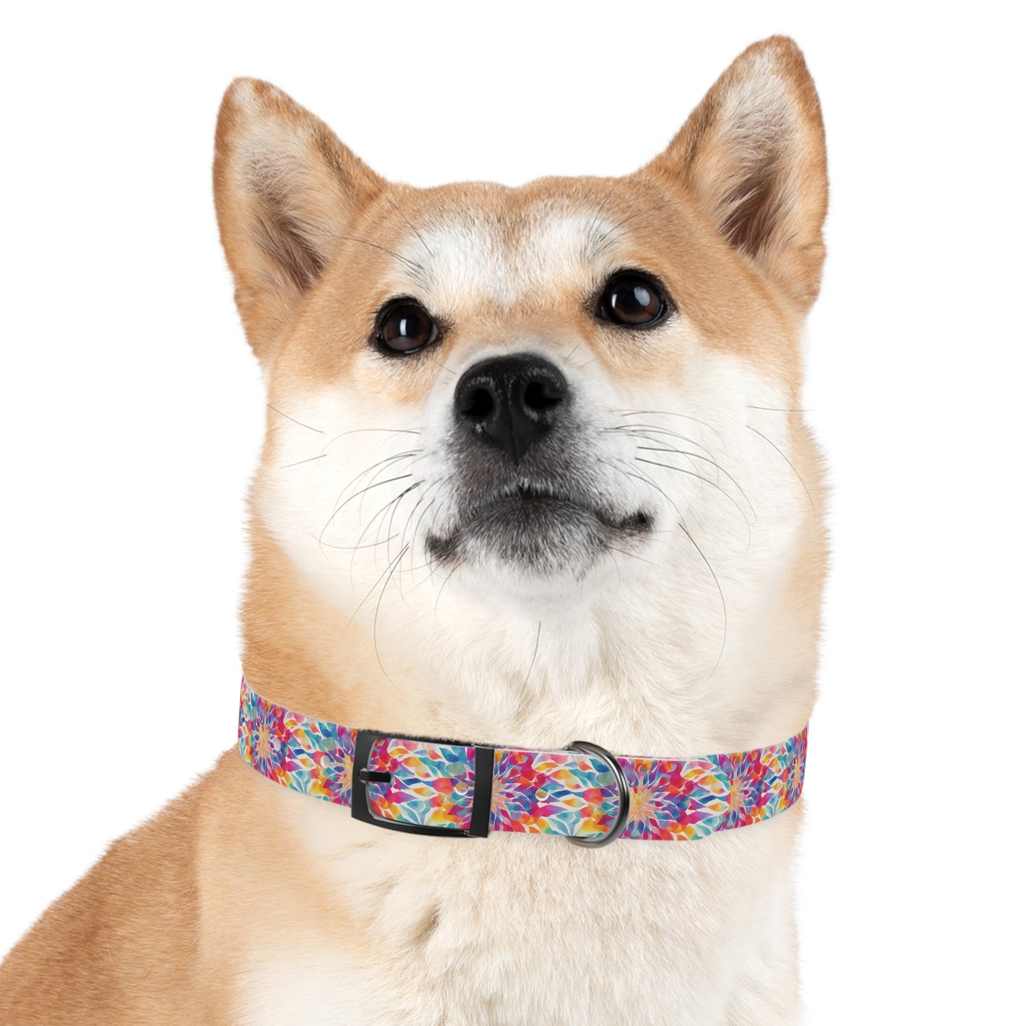 Bright Mandala Watercolor Pattern Dog Collar