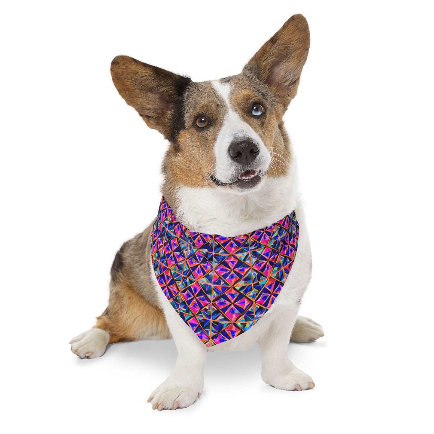 Tri-Fusion Pet Bandana Collar