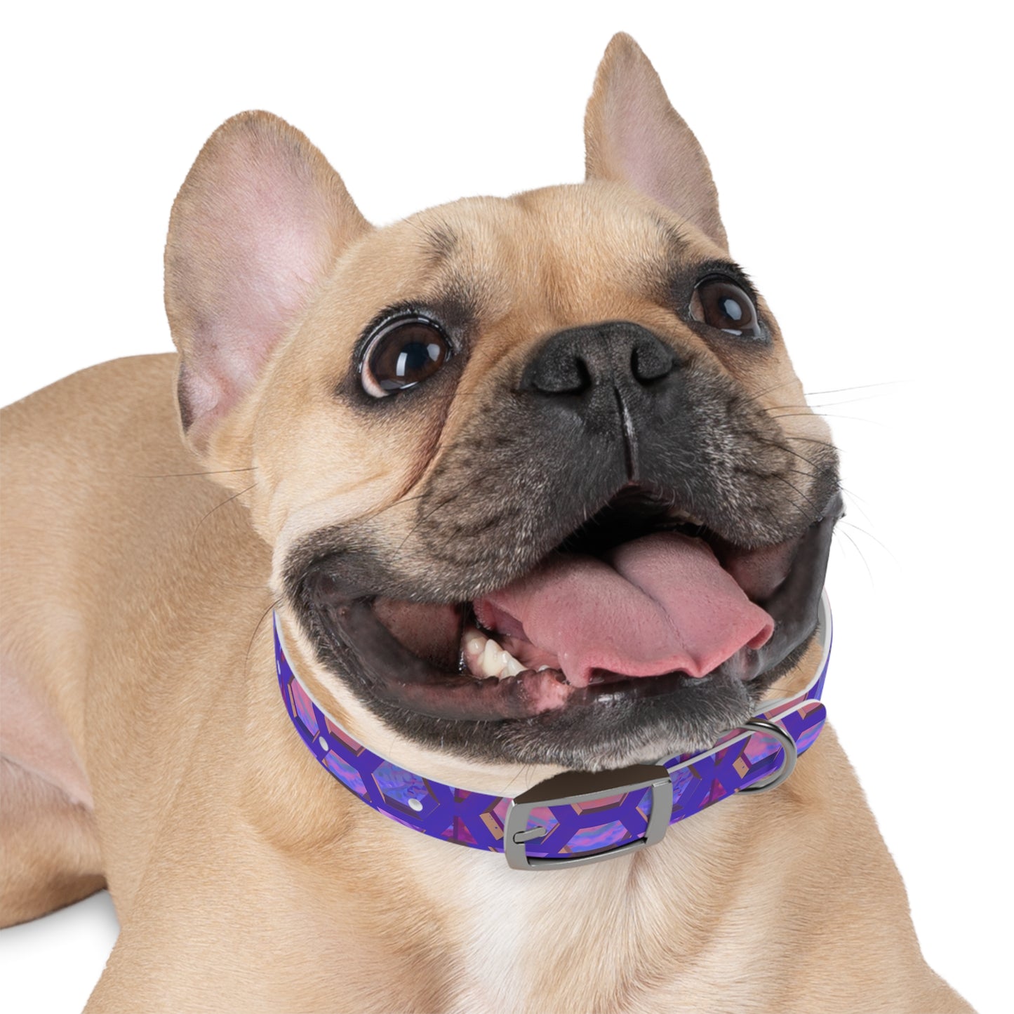 Hexa Bliss Dog Collar