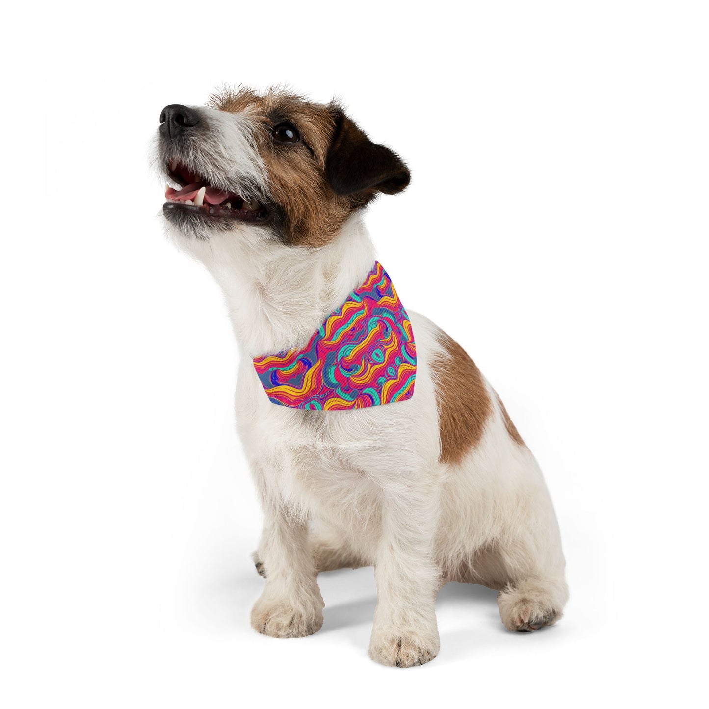 Psychedelic Grove Pet Bandana Collar