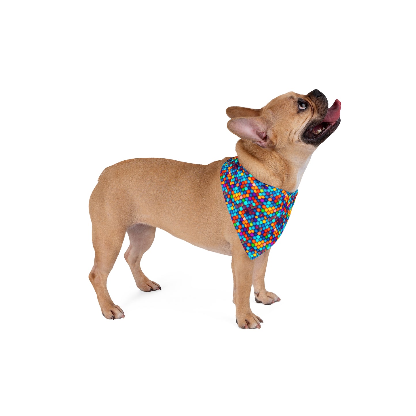 Hexa Spectrum Pet Bandana