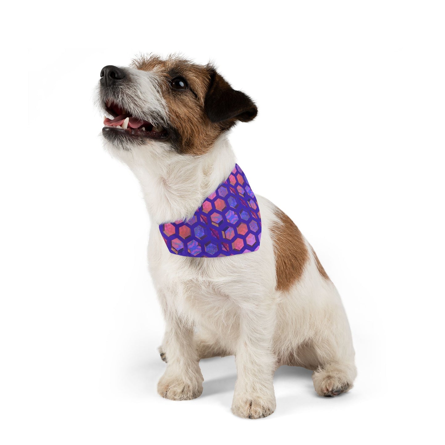 Hexa Bliss Pet Bandana Collar