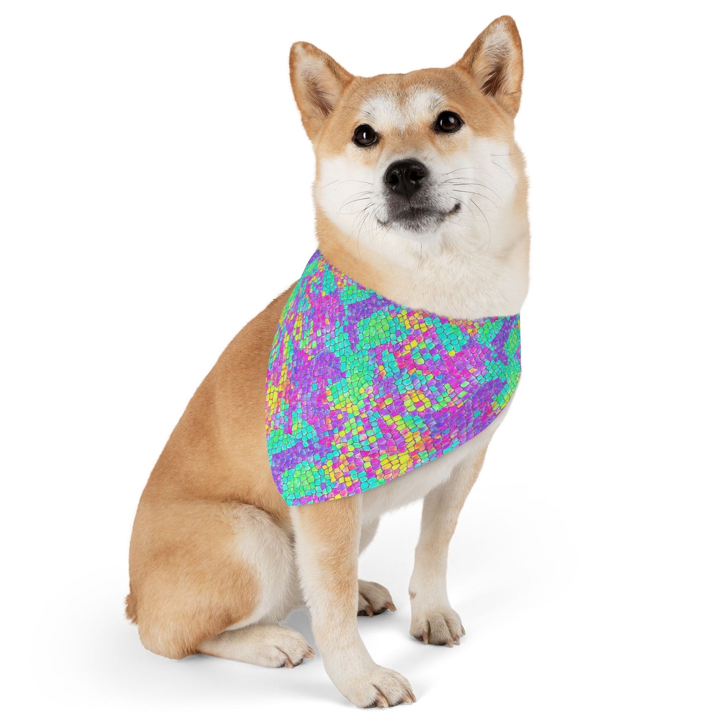 Fluid Fusion Pet Bandana Collar