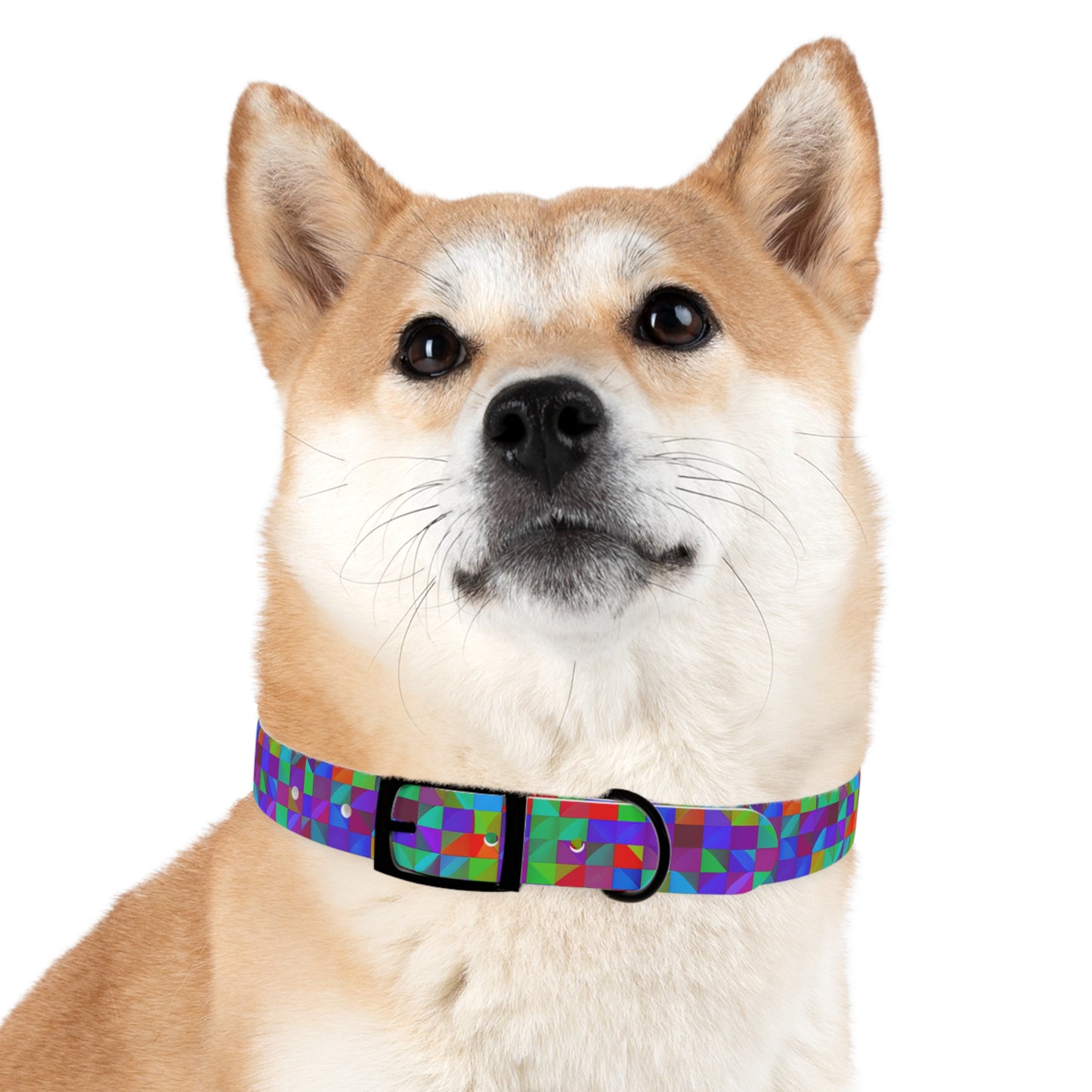 Prism Patterns Dog Collar