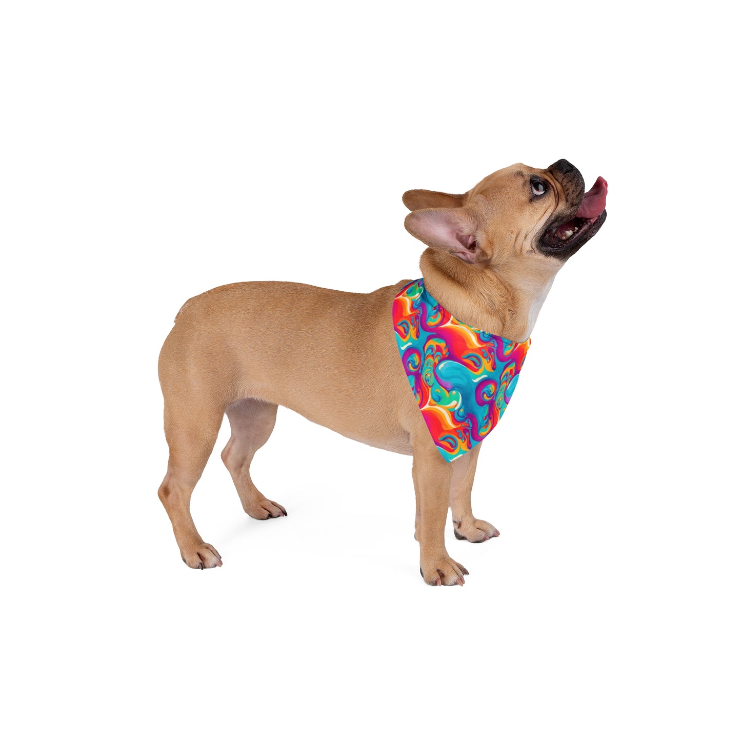 Rainbow Ripple Pet Bandana