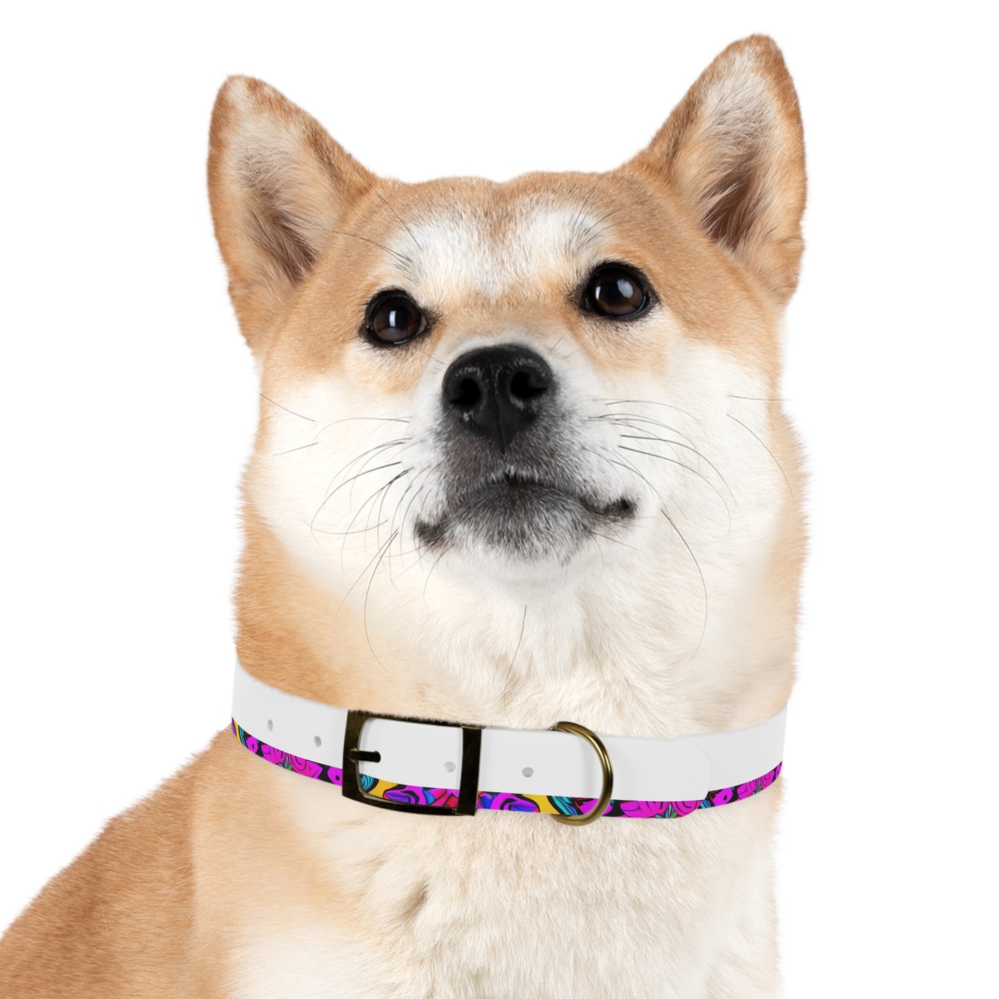 Vibrant Illusions Dog Collar