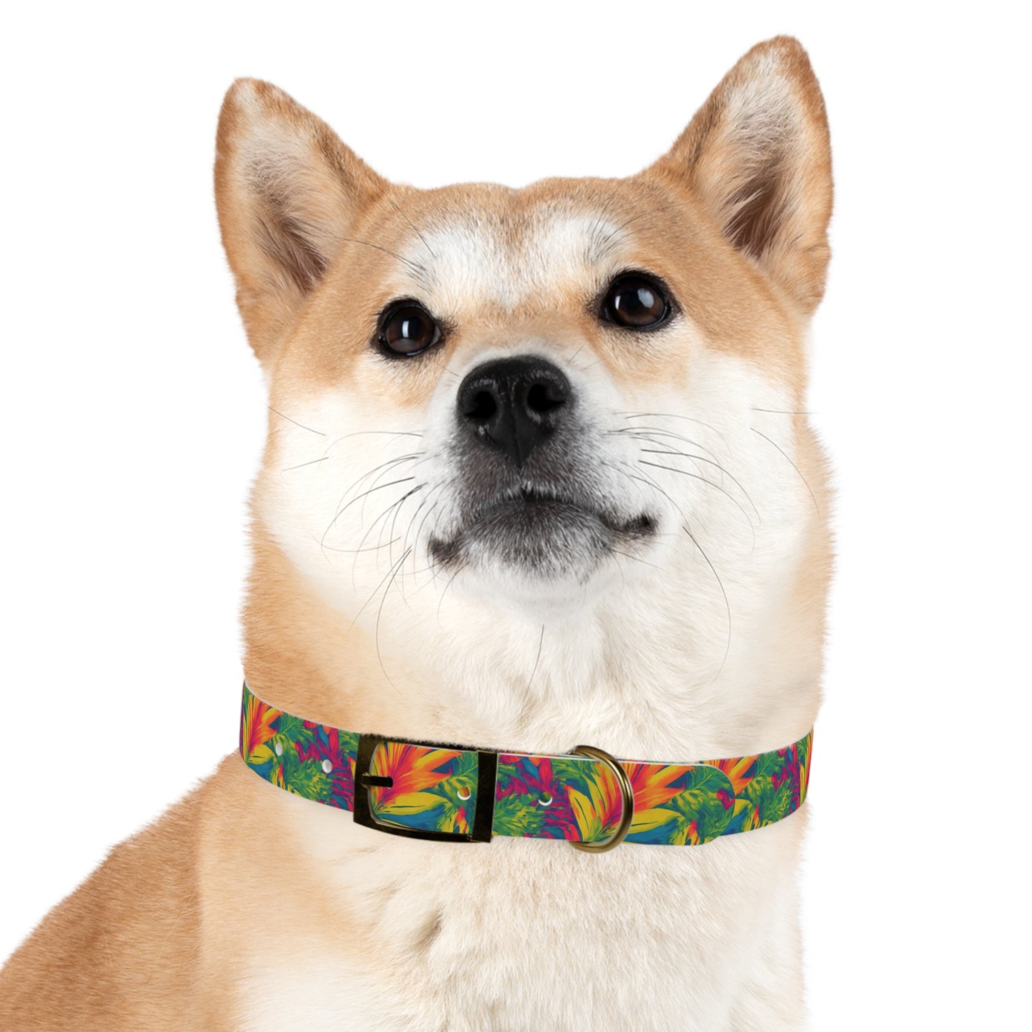 Meadow Melody Dog Collar