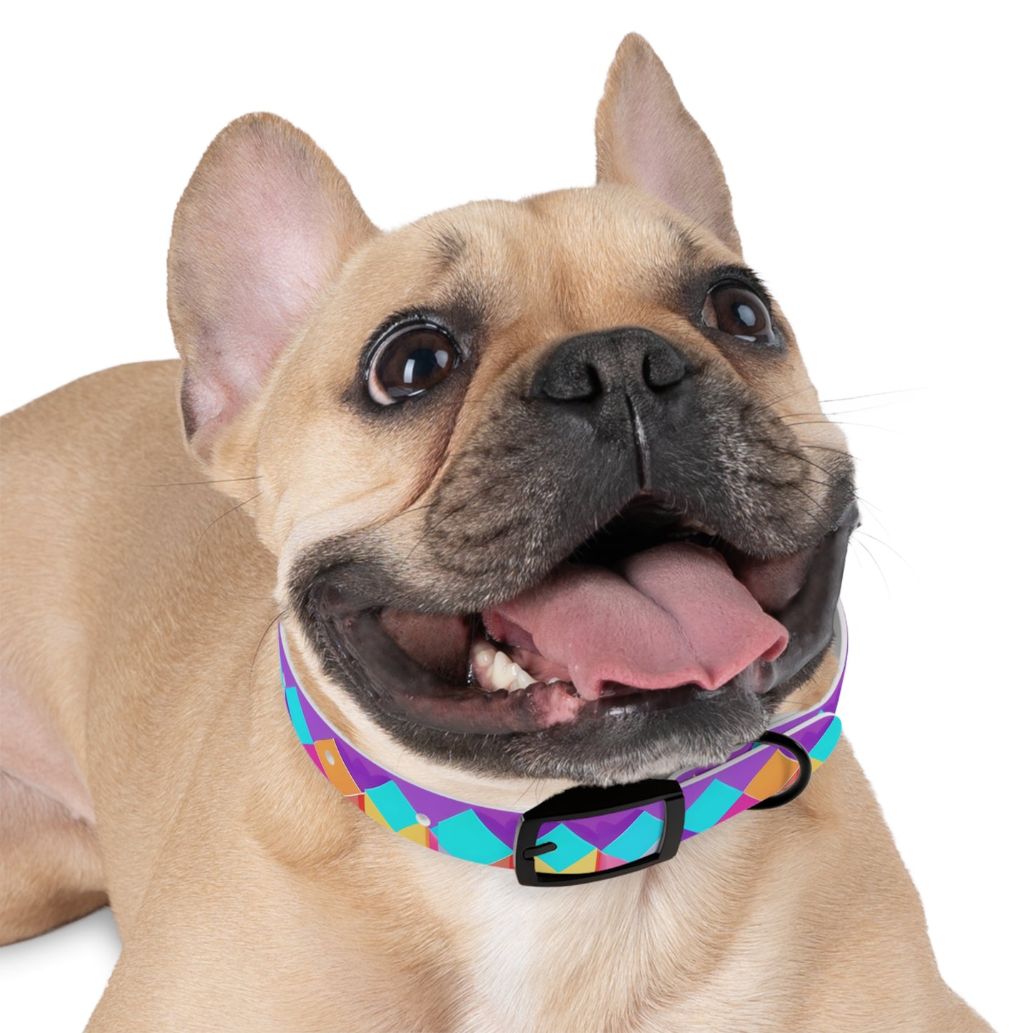 Prismatic Patterns Dog Collar