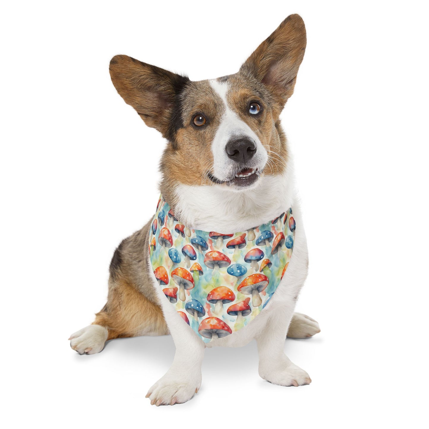 Mushroom Melody Pet Bandana Collar