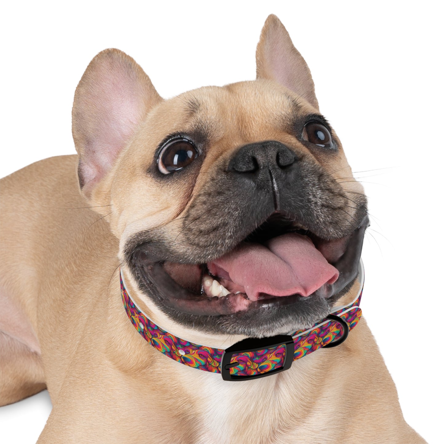 Abstract Woof Dog Collar