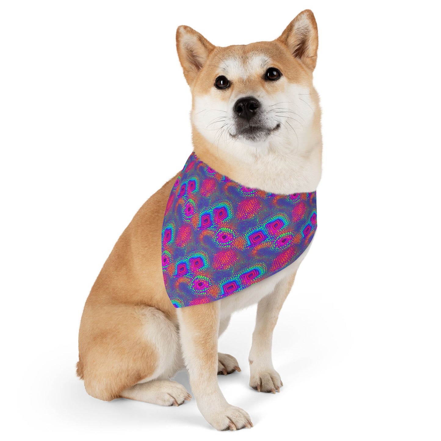 Chroma Chic Pet Bandana Collar