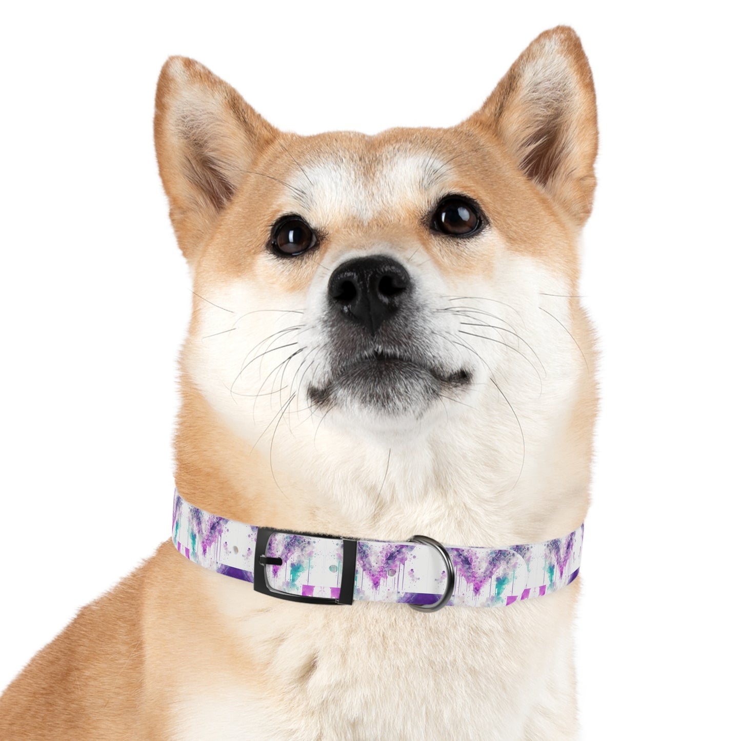 Creative Chaos Dog Collar