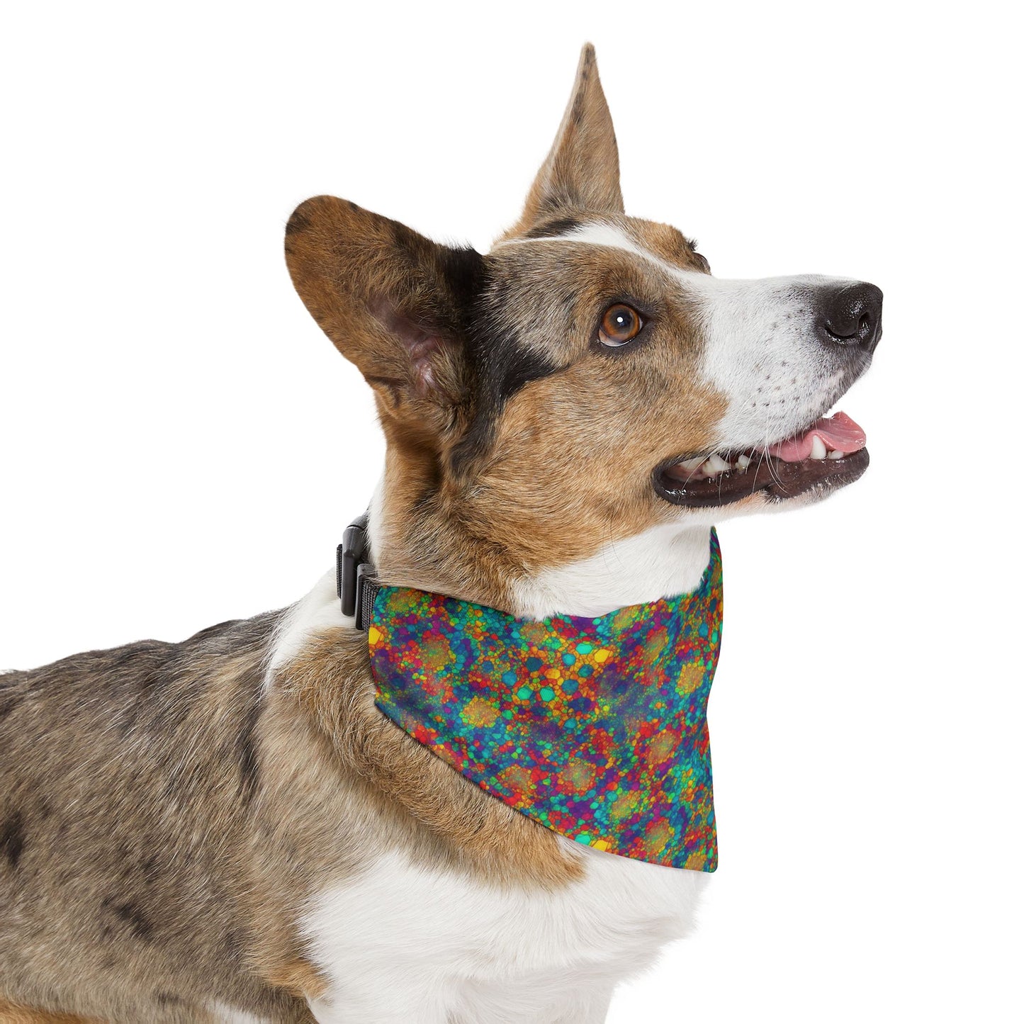 Mosaic Meledy Pet Bandana Collar