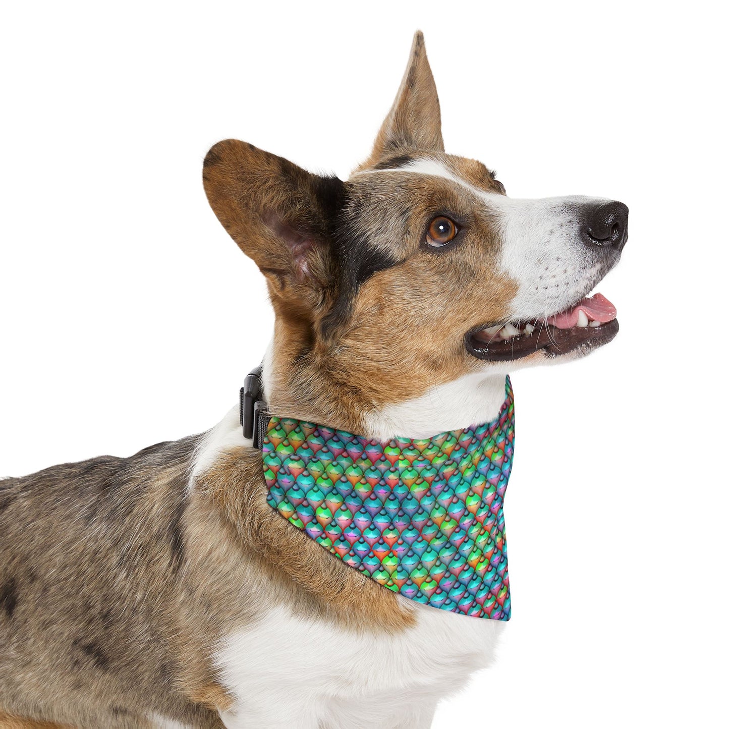 Aqua-Enchant Pet Bandana Collar