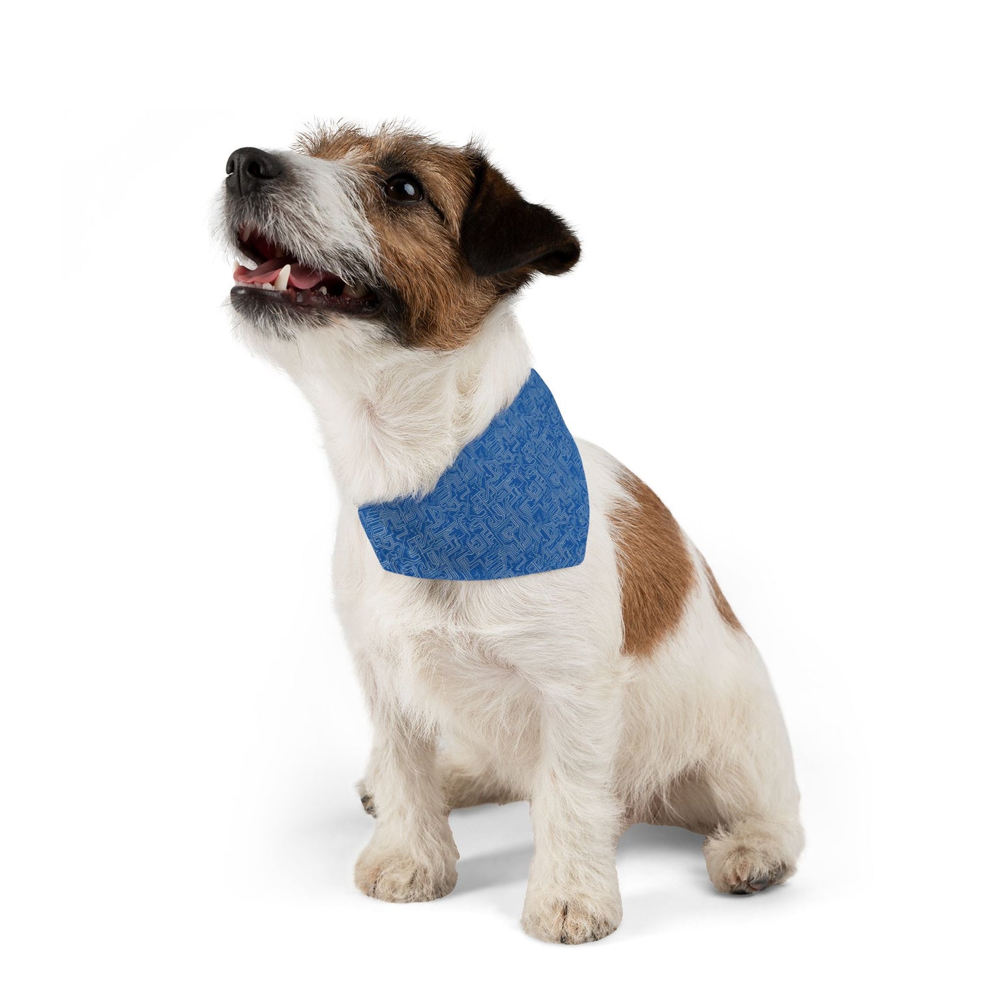 AI Array Pet Bandana Collar