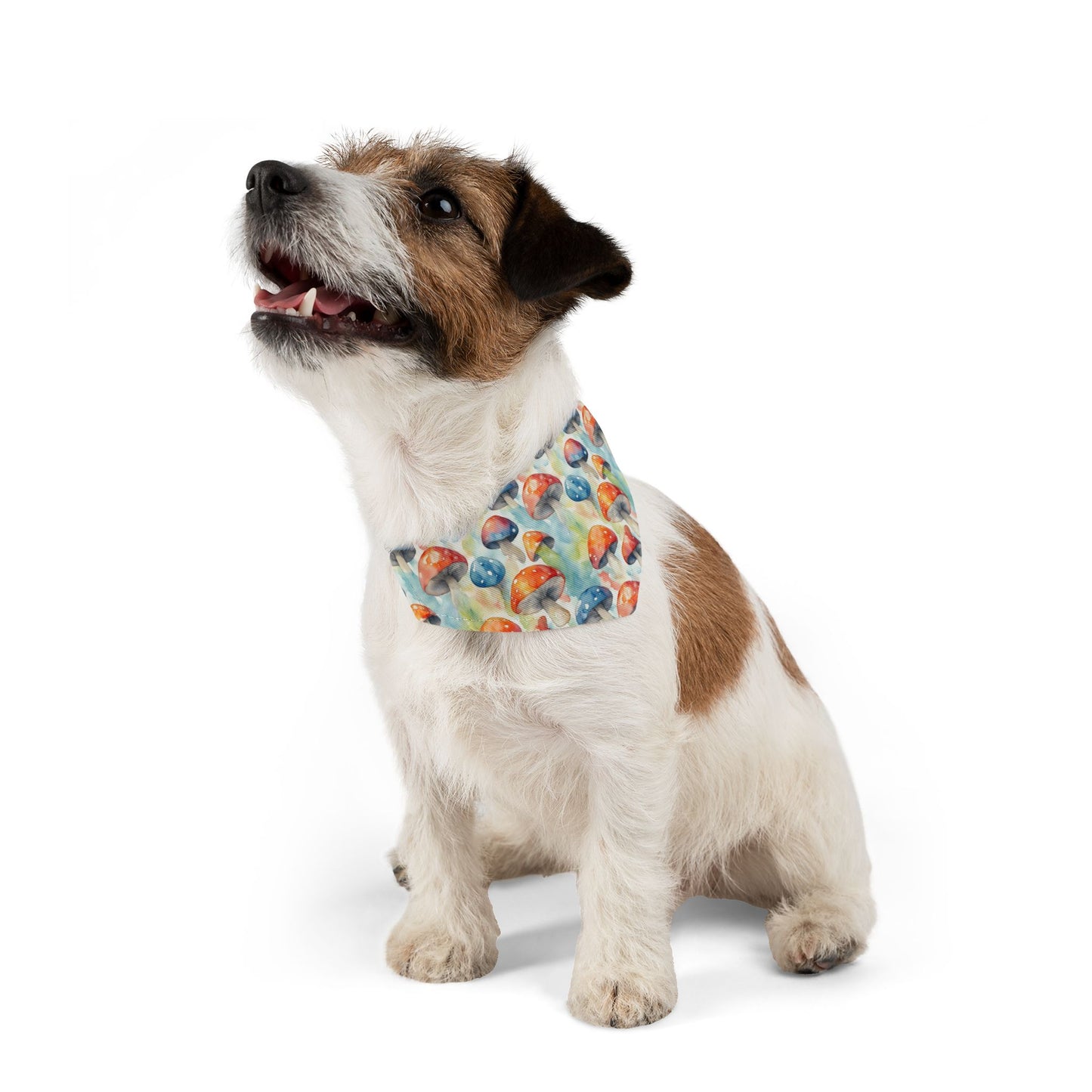 Mushroom Melody Pet Bandana Collar