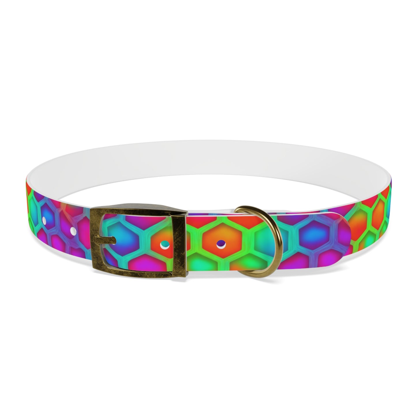 Color Hive Dog Collar