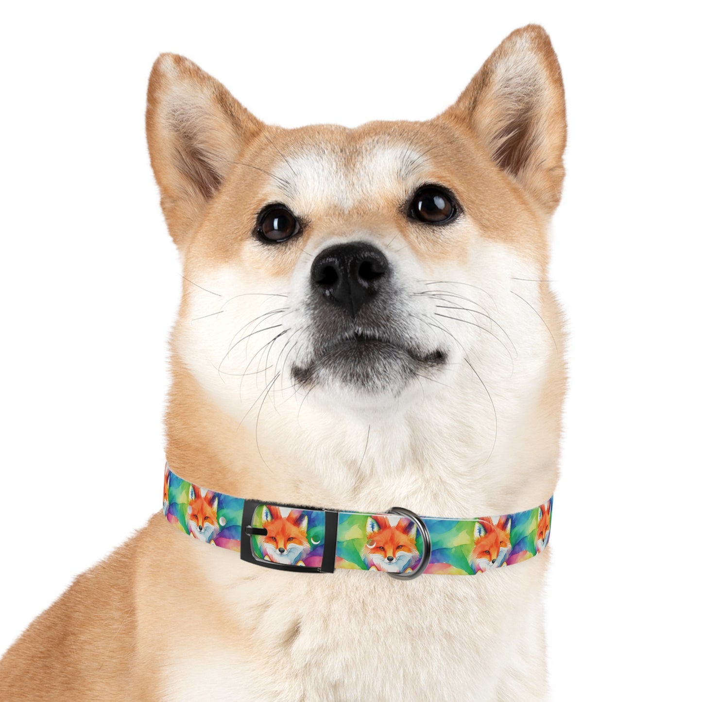 Colorful Fox Watercolor Pattern Dog Collar