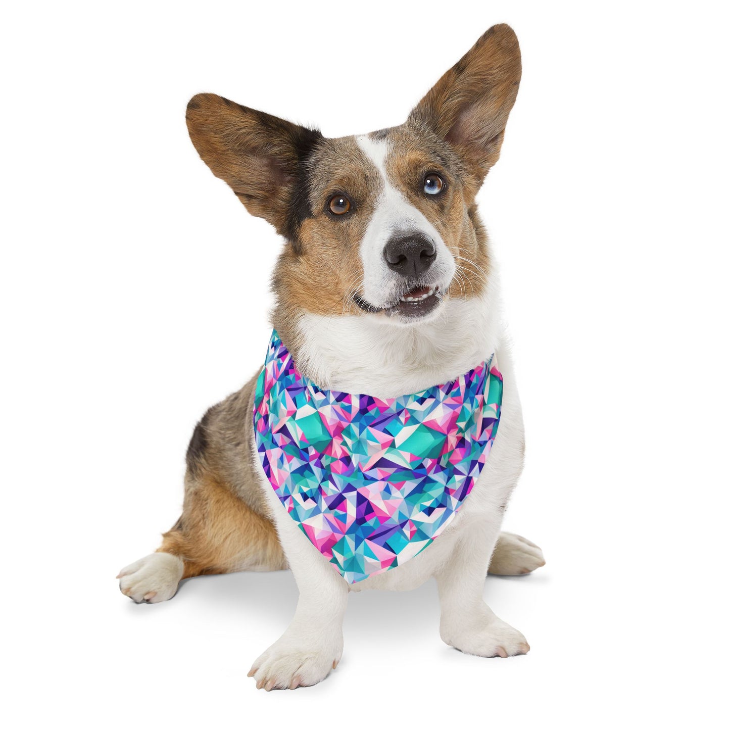 Fractal Flair Pet Bandana Collar