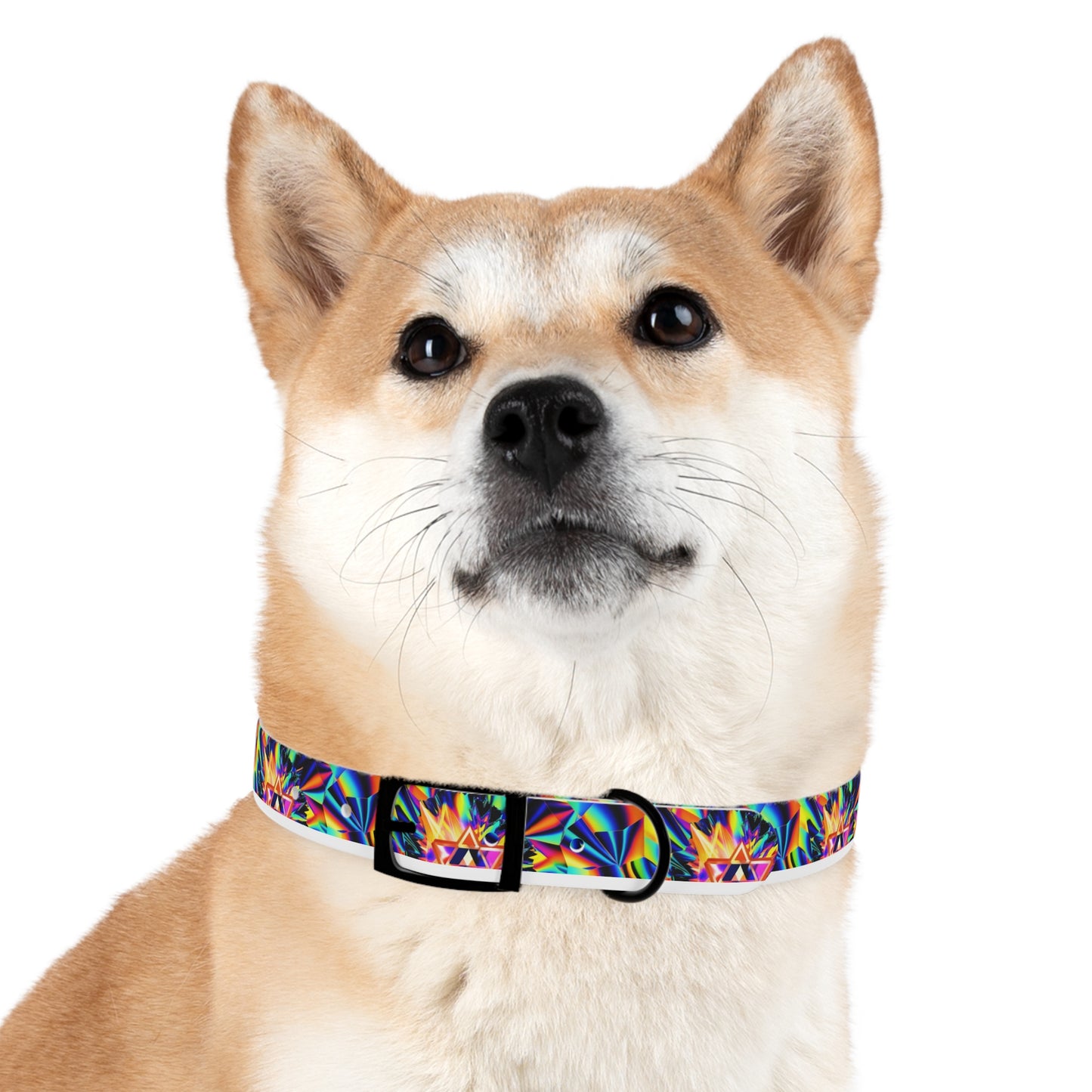 Astronomical Aura Dog Collar