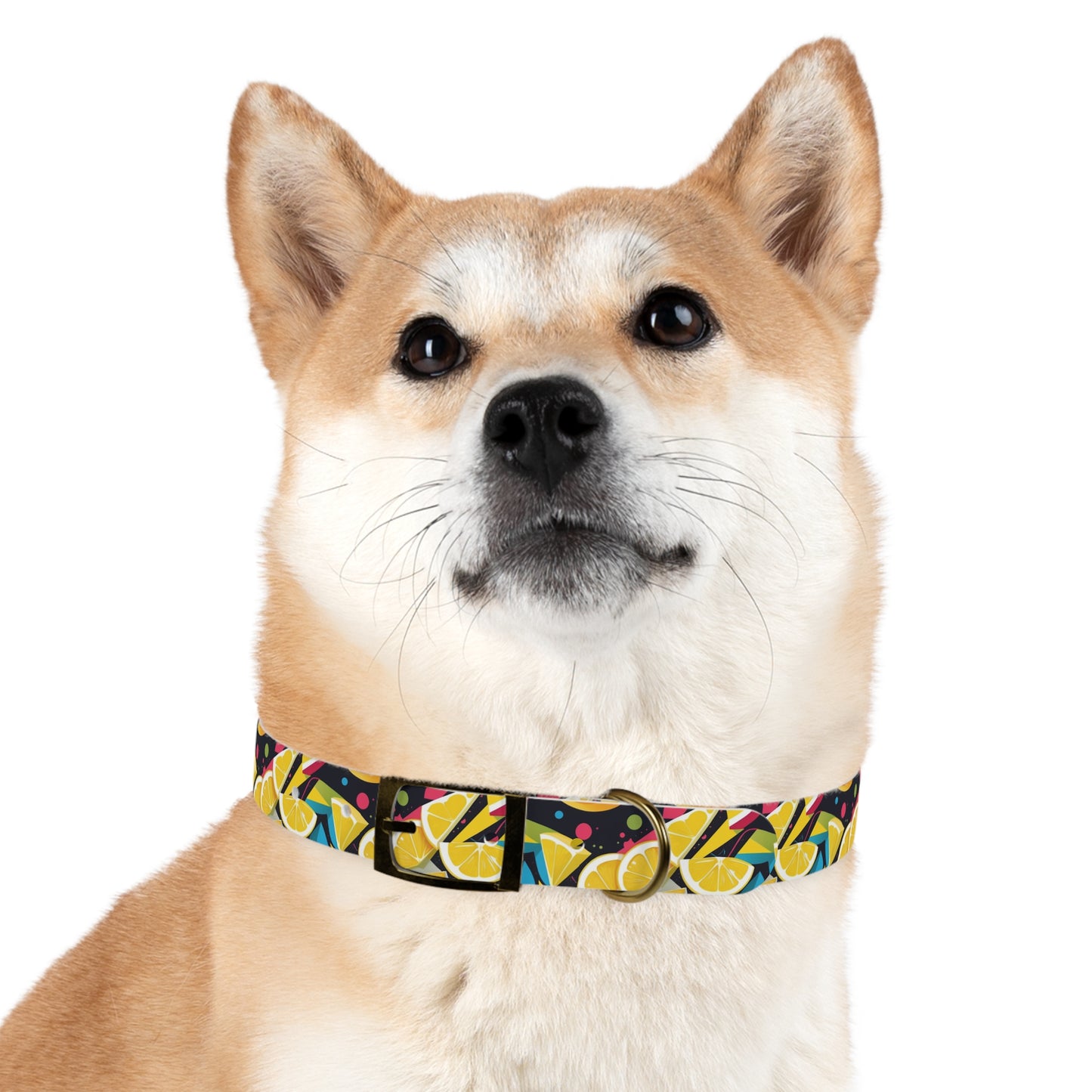 Lemon Zest Dog Collar