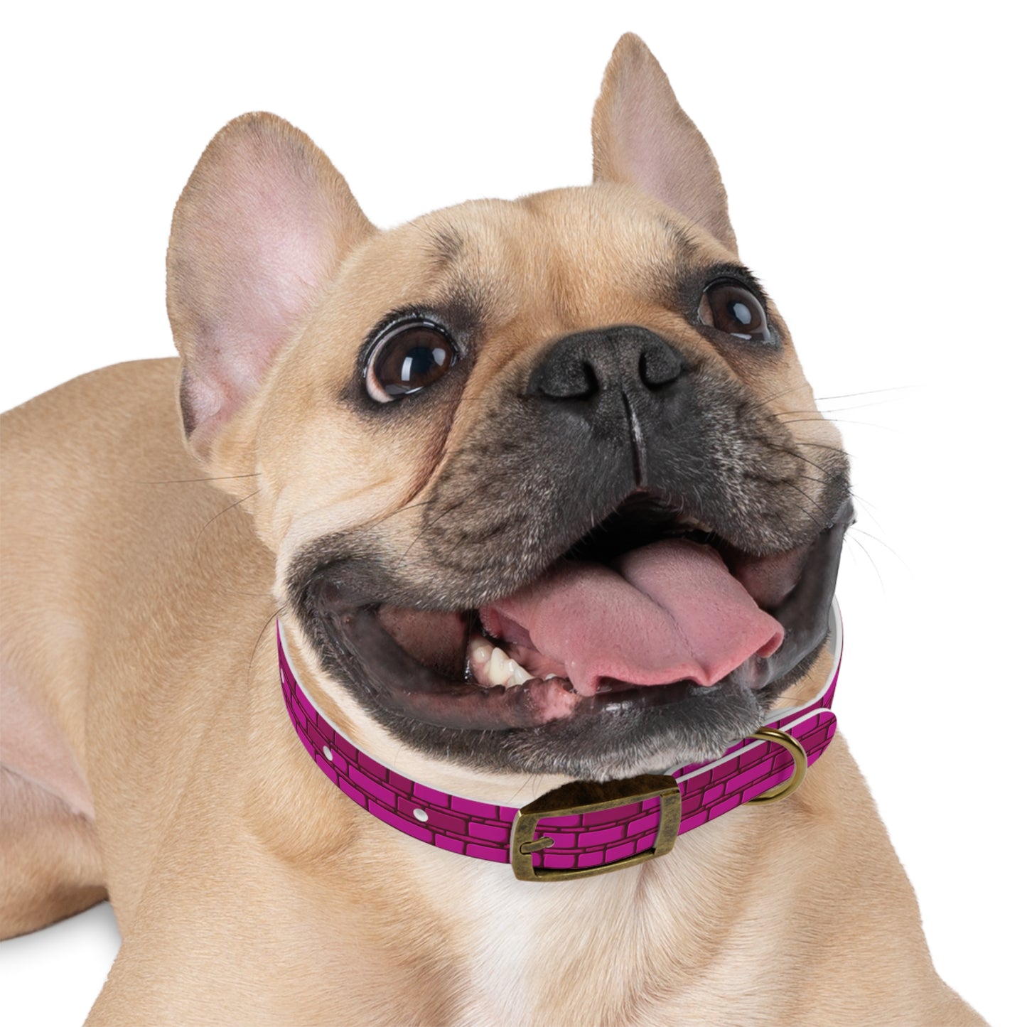 Cyber Chic Dog Collar