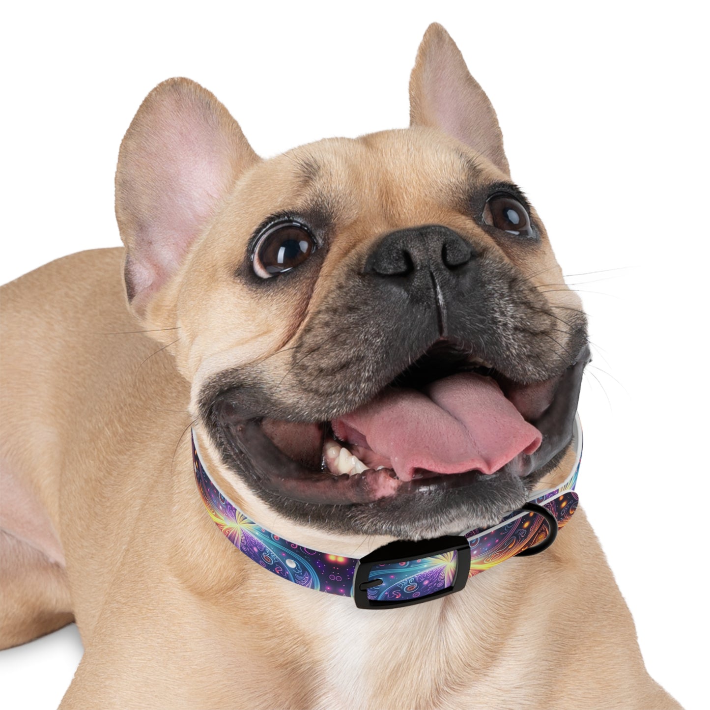 Neon Trance Dog Collar