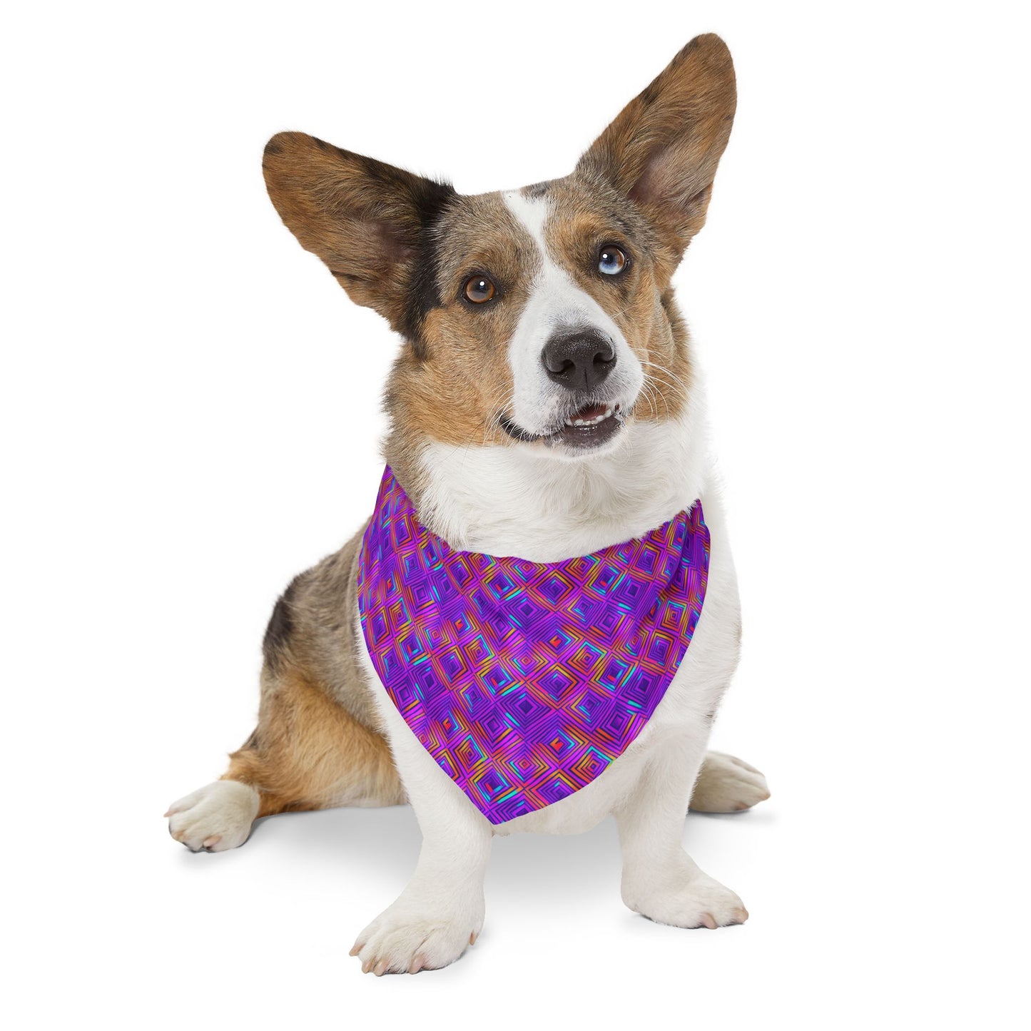 Color Gems Pet Bandana Collar