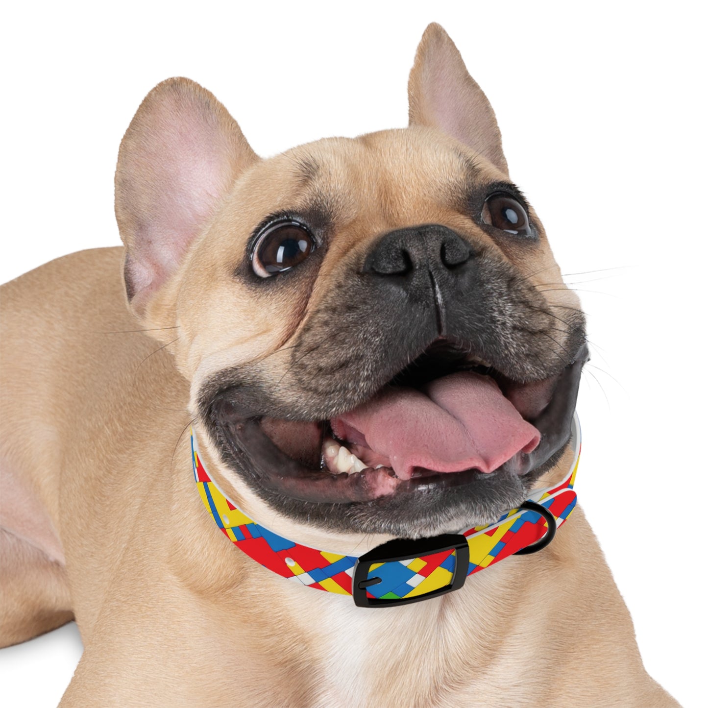 Tessellation Tango Dog Collar