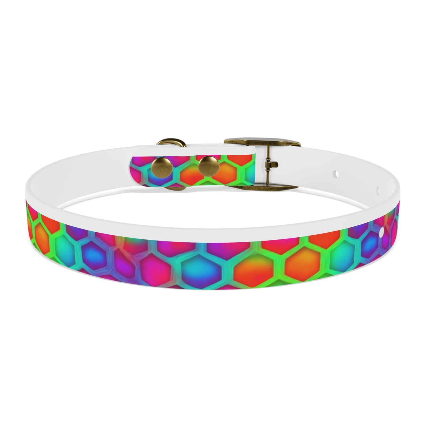 Color Hive Dog Collar