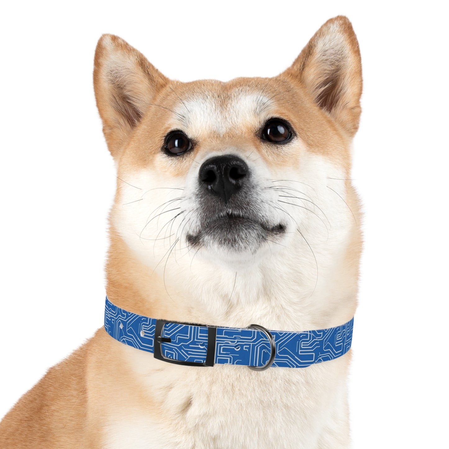 AI Array Dog Collar