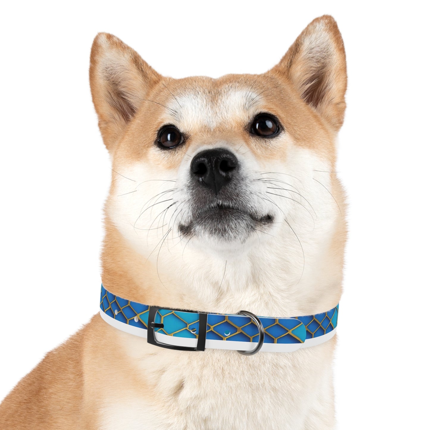 Hexagonal Harmony Dog Collar