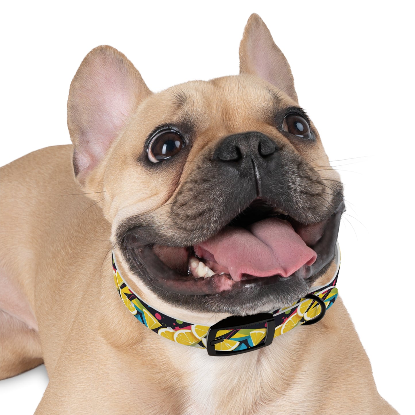 Lemon Zest Dog Collar