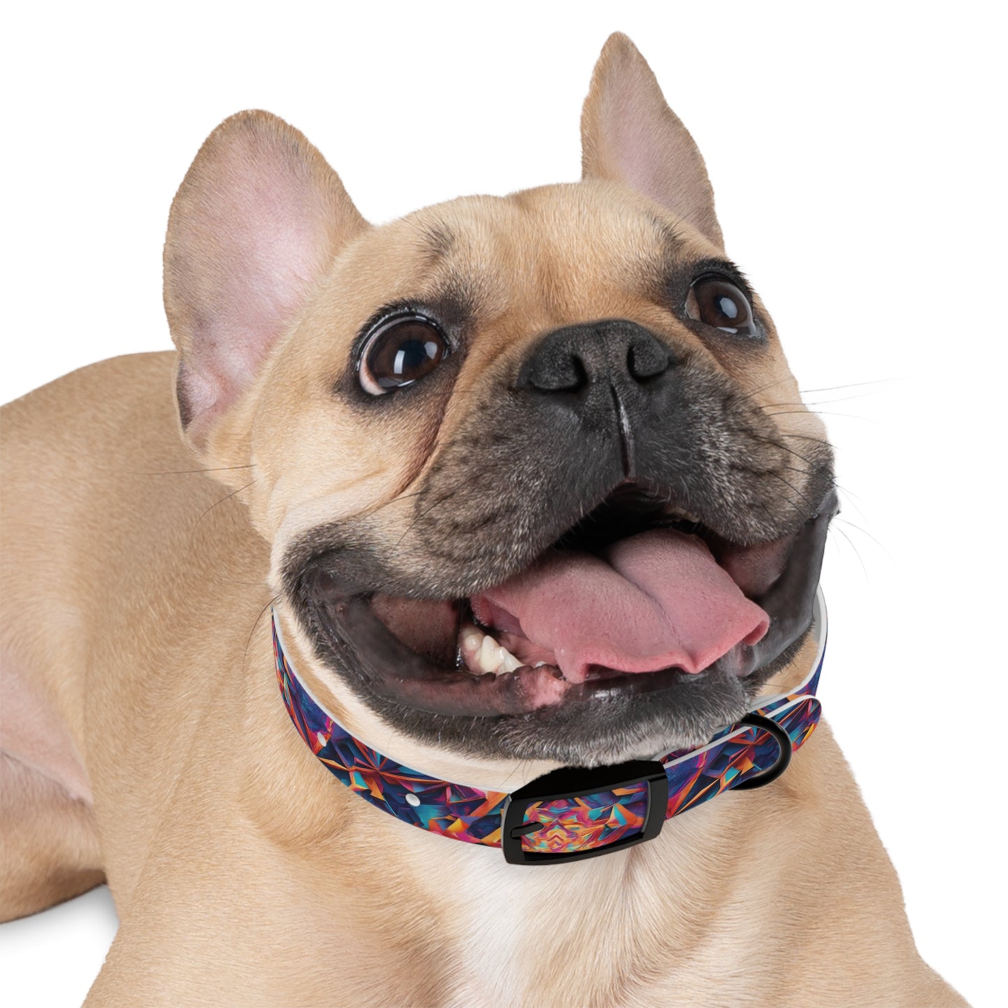 Kaleido Magic Dog Collar