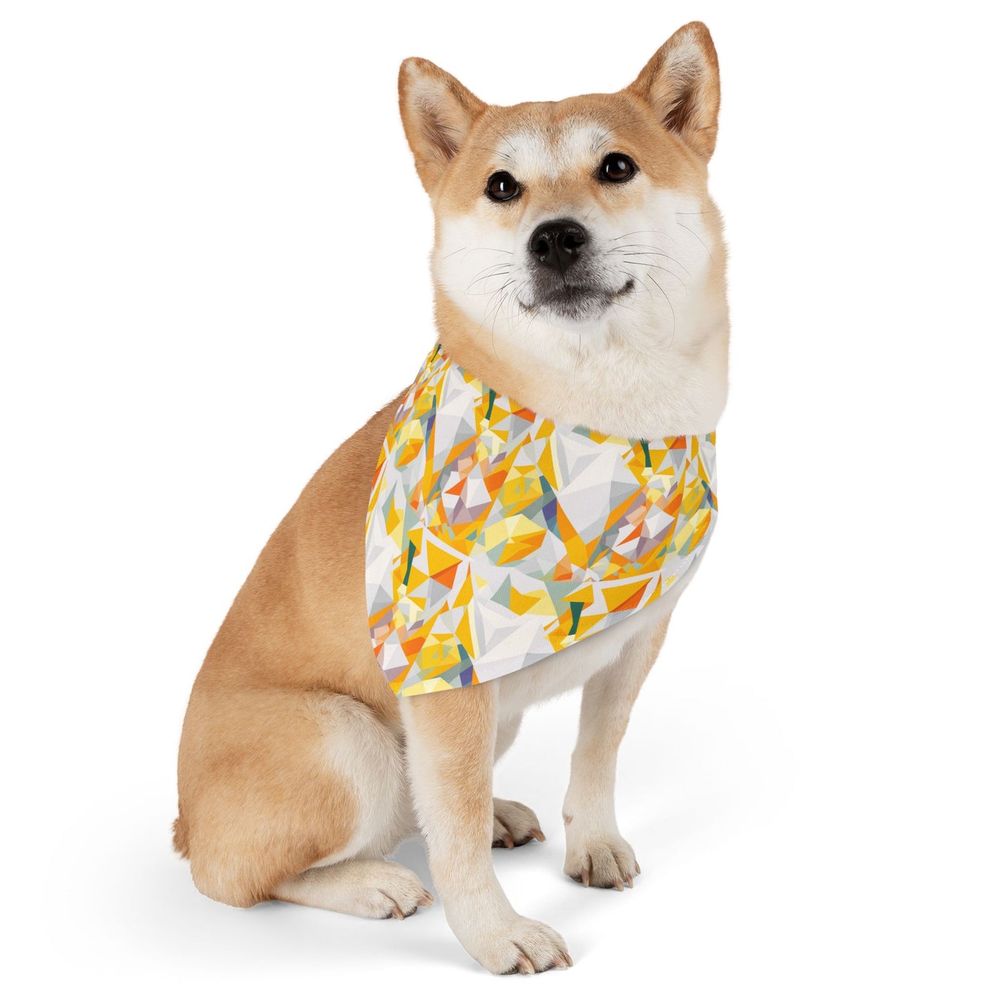 Polygon Prism Pet Bandana Collar