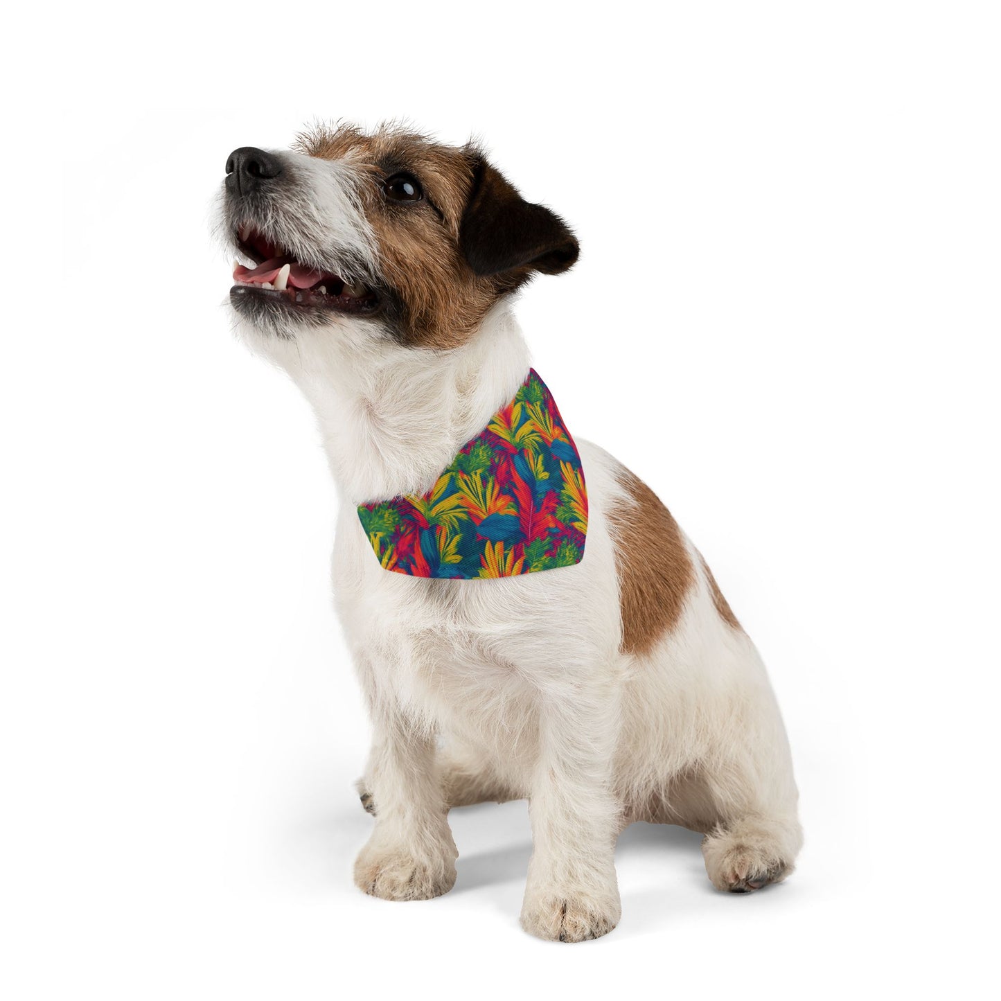 Meadow Melody Pet Bandana Collar