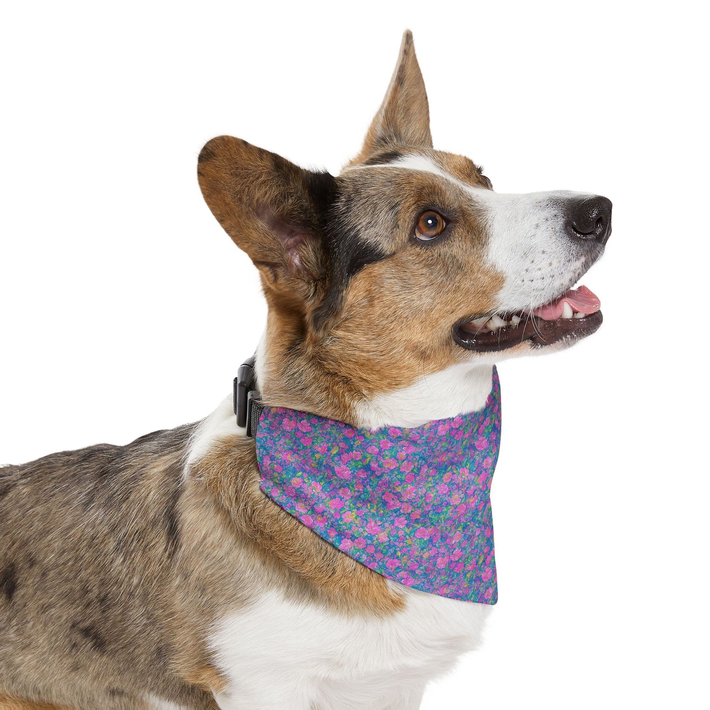 Rainbow Reflections Pet Bandana Collar