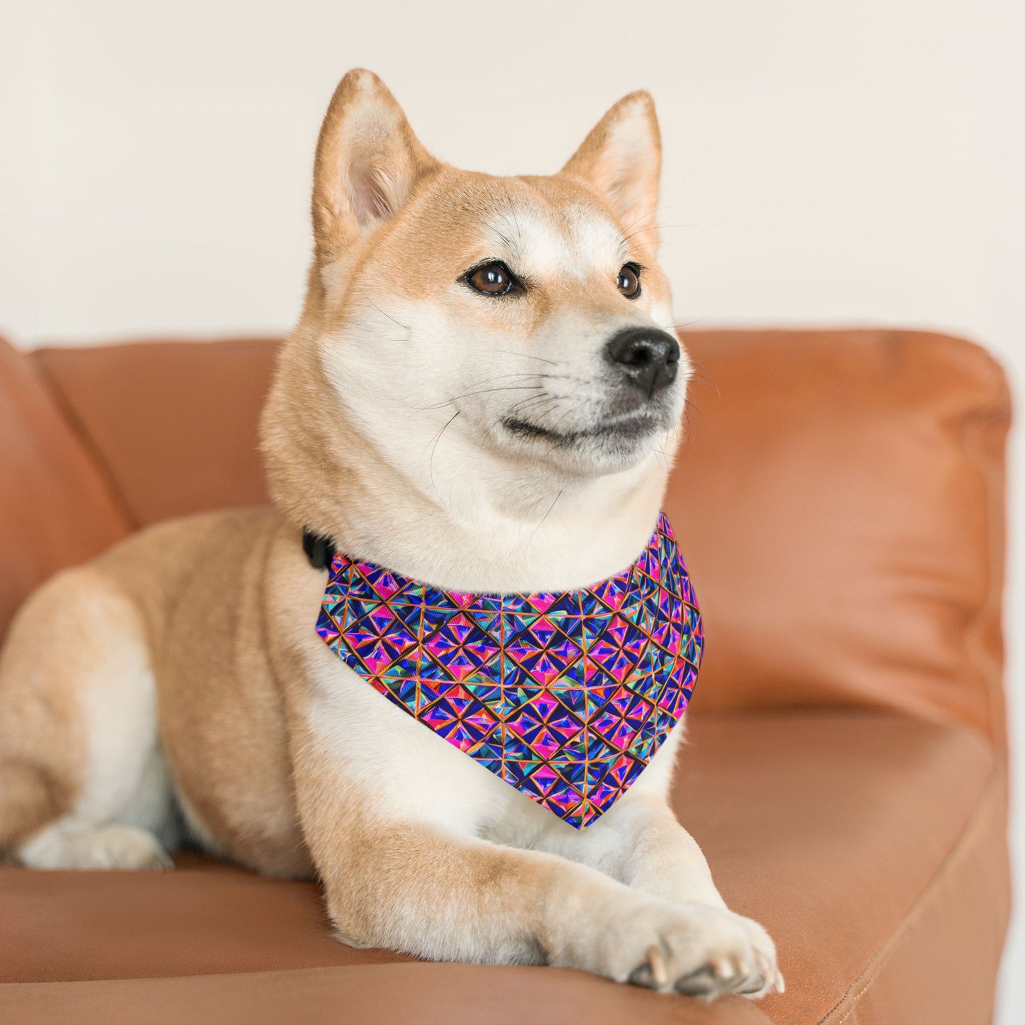 Tri-Fusion Pet Bandana Collar