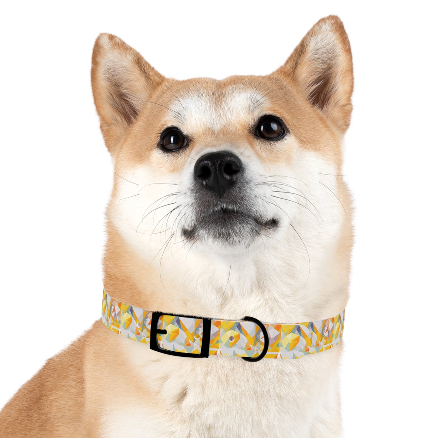 Polygon Prism Dog Collar