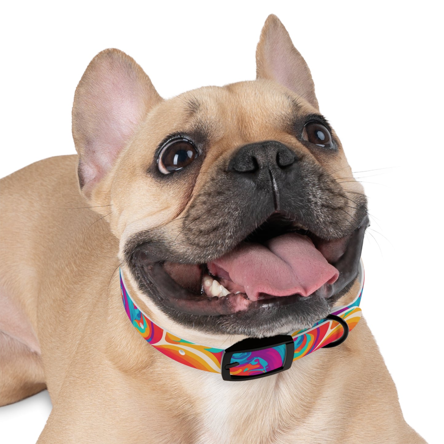 Rainbow Ripple Dog Collar