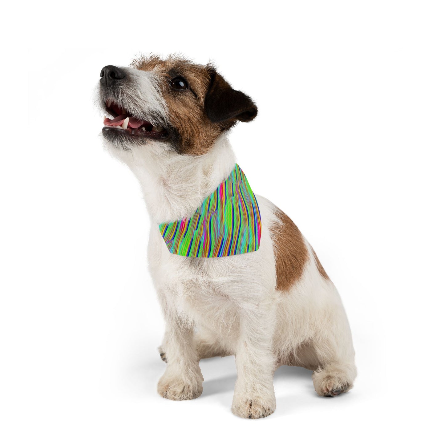 Neon Edges Pet Bandana Collar