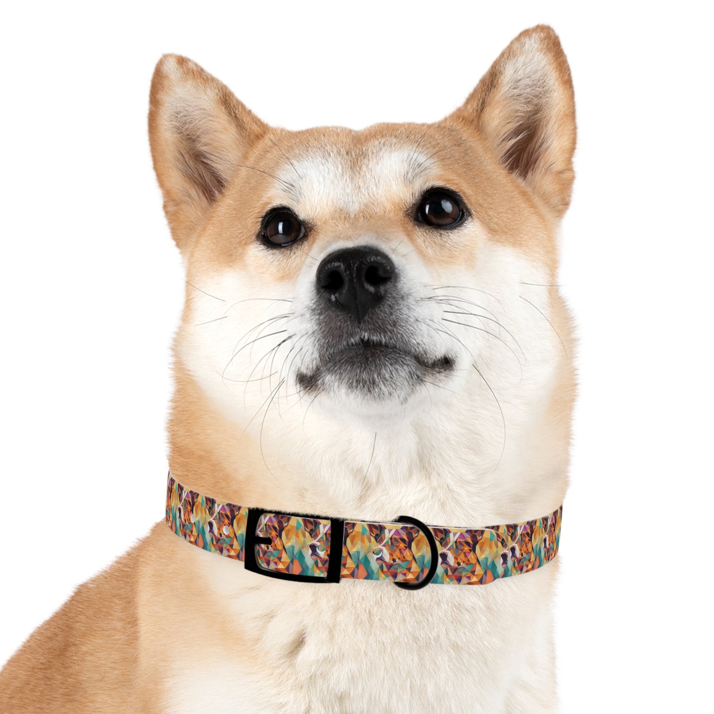 Doggy Dimensions Dog Collar