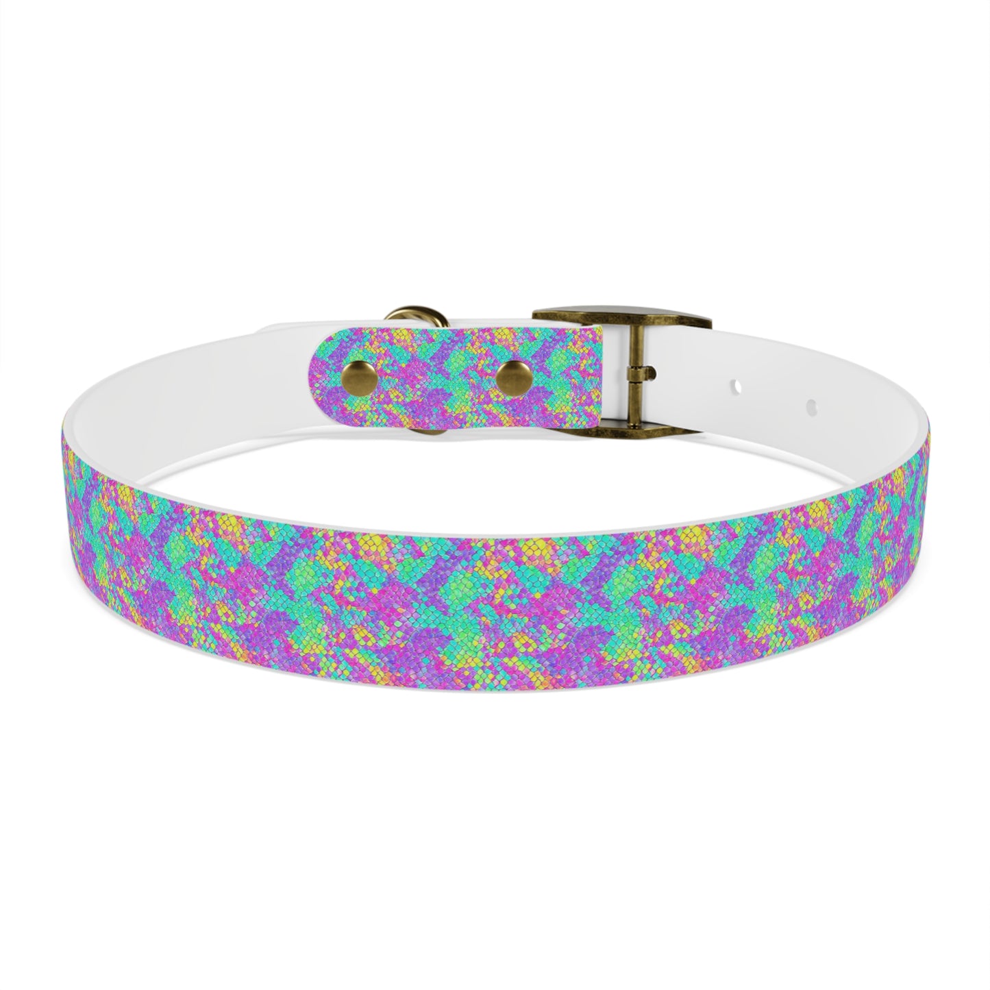 Fluid Fusion Dog Collar