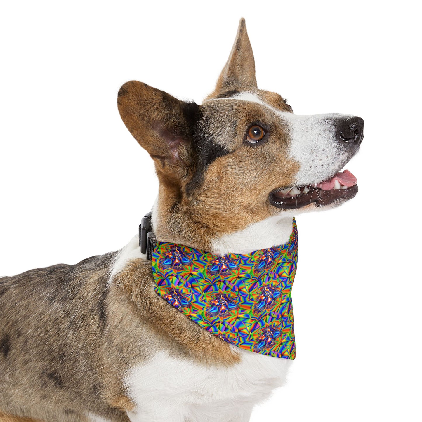 Galactic Glimmer Pet Bandana Collar