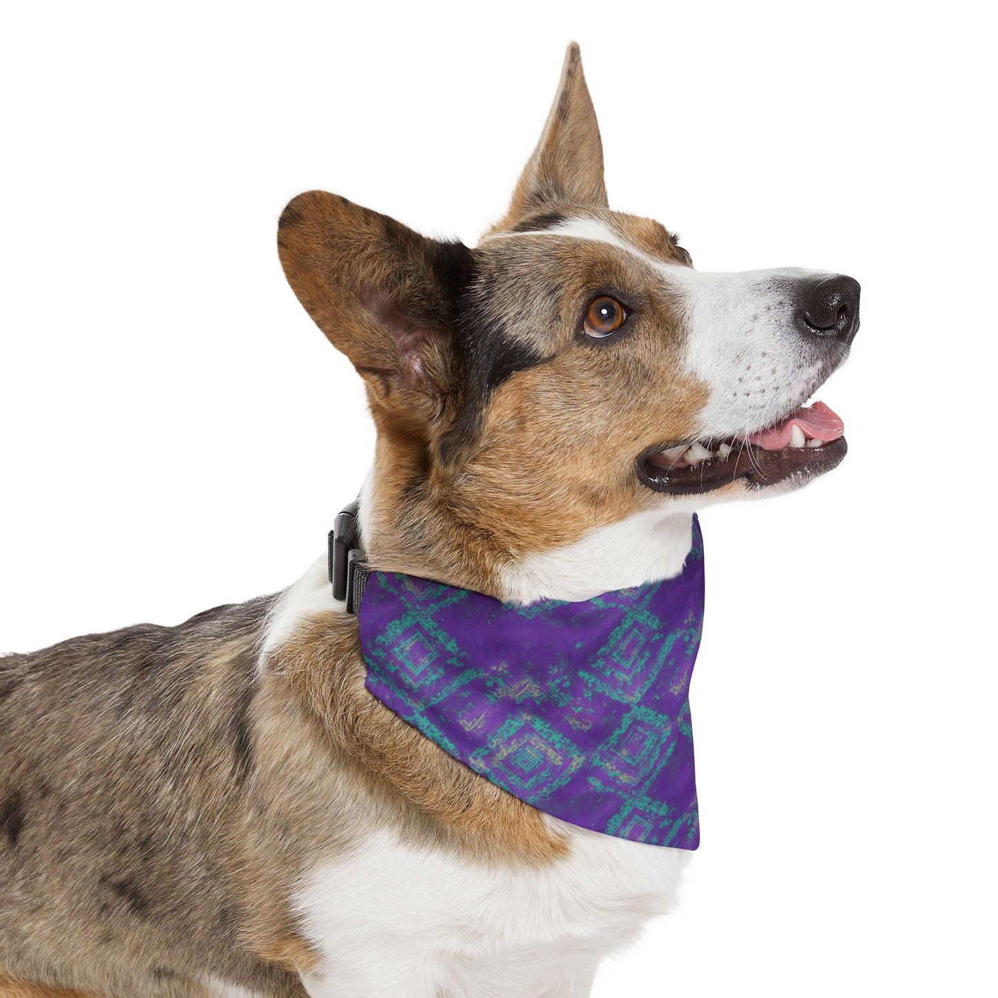 Radiance Rhapsody Pet Bandana Collar