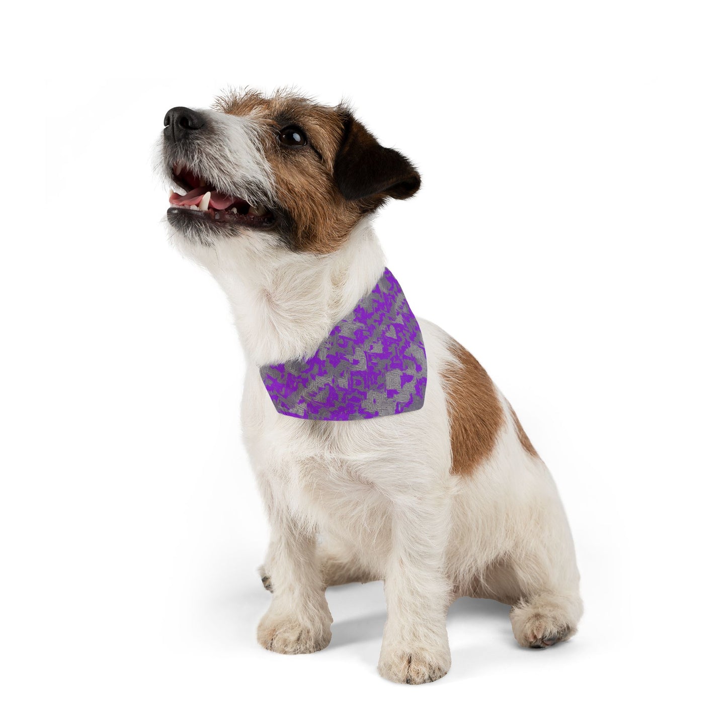 Diamond Dust Pet Bandana Collar