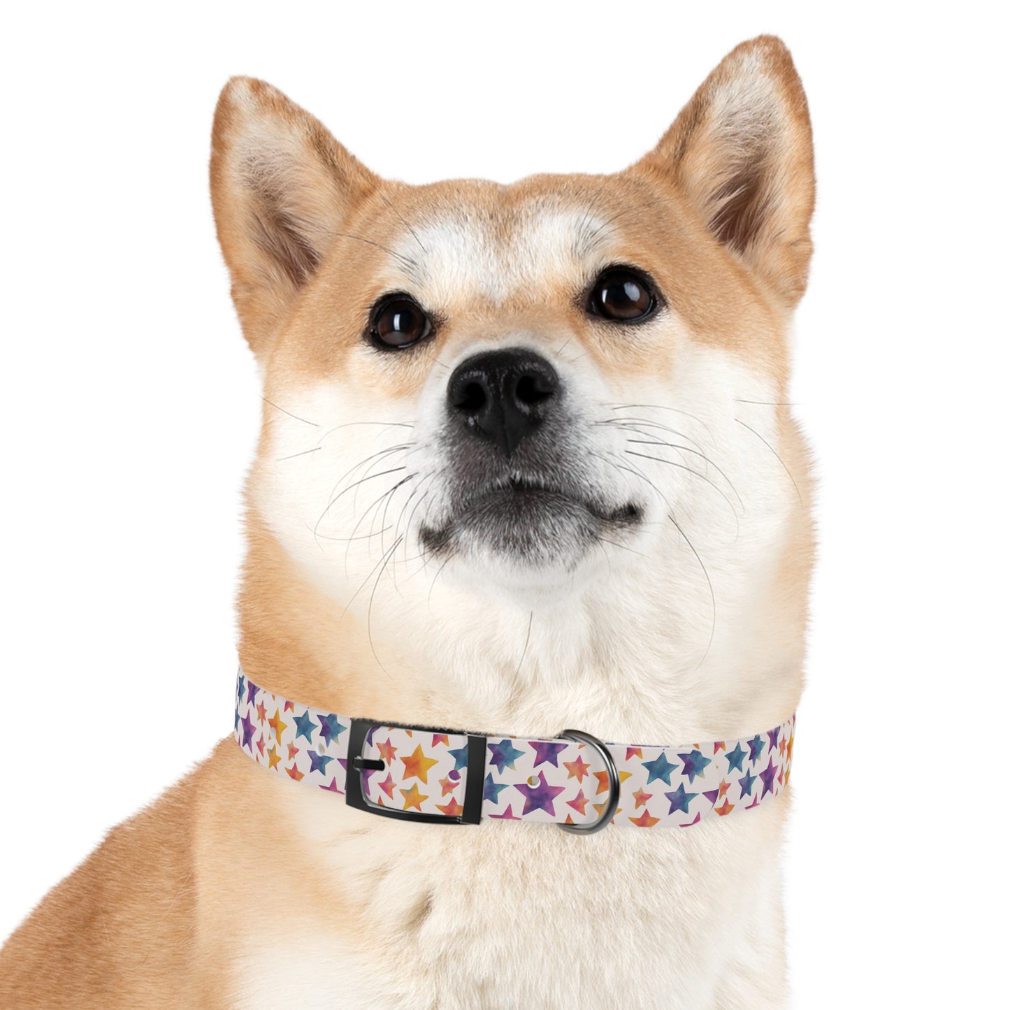 Colorful Stars Watercolor Pattern Dog Collar