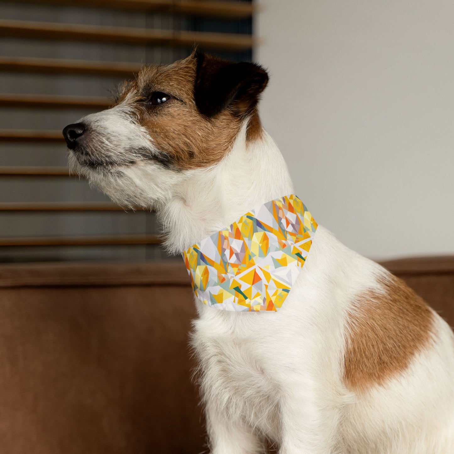 Polygon Prism Pet Bandana Collar