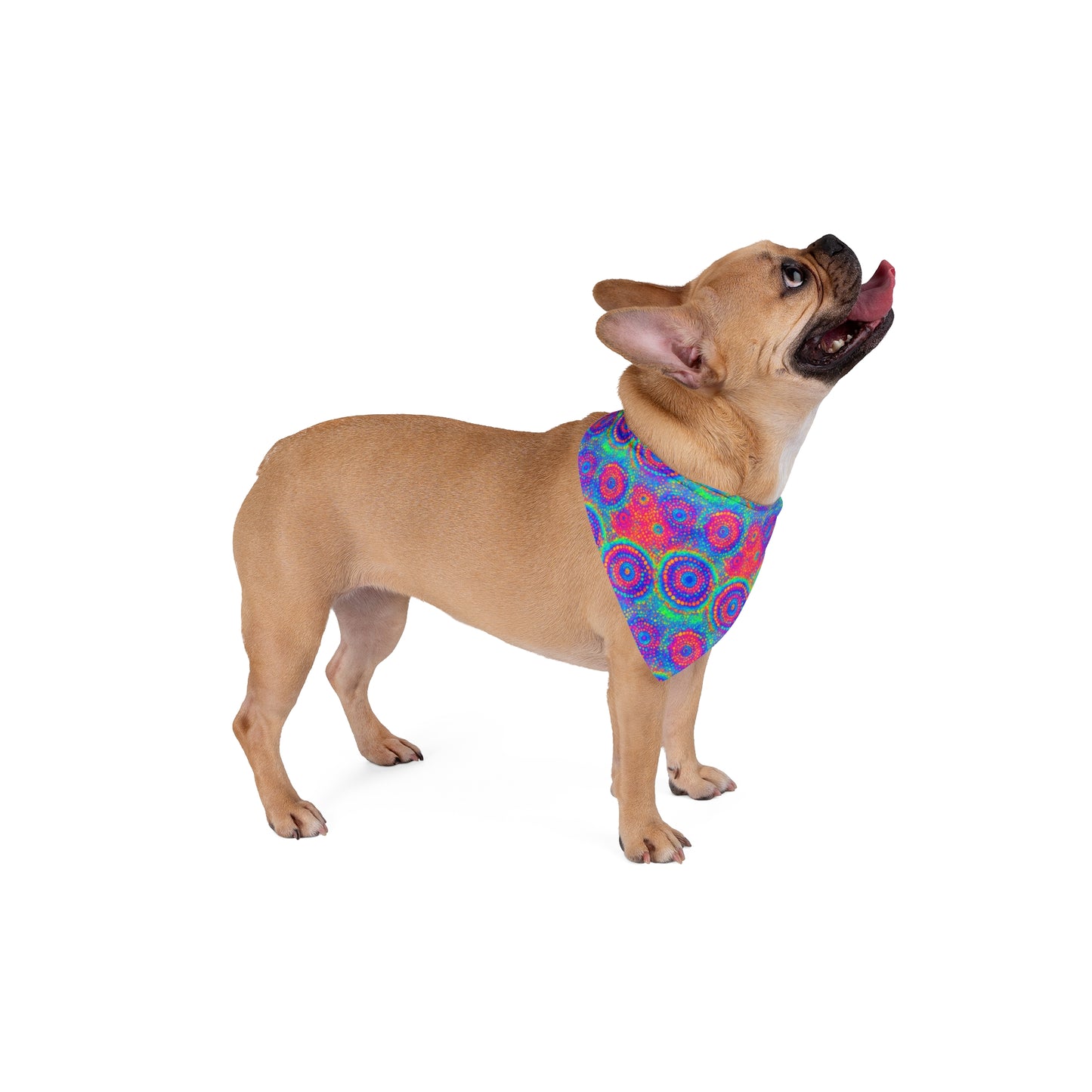 Poly Glow Pet Bandana